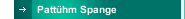 Pattühm Spange 