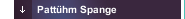 Pattühm Spange 